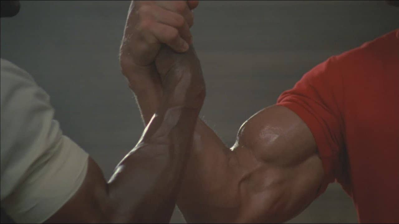 How Fast Do You Lose Strength When You Stop Training?