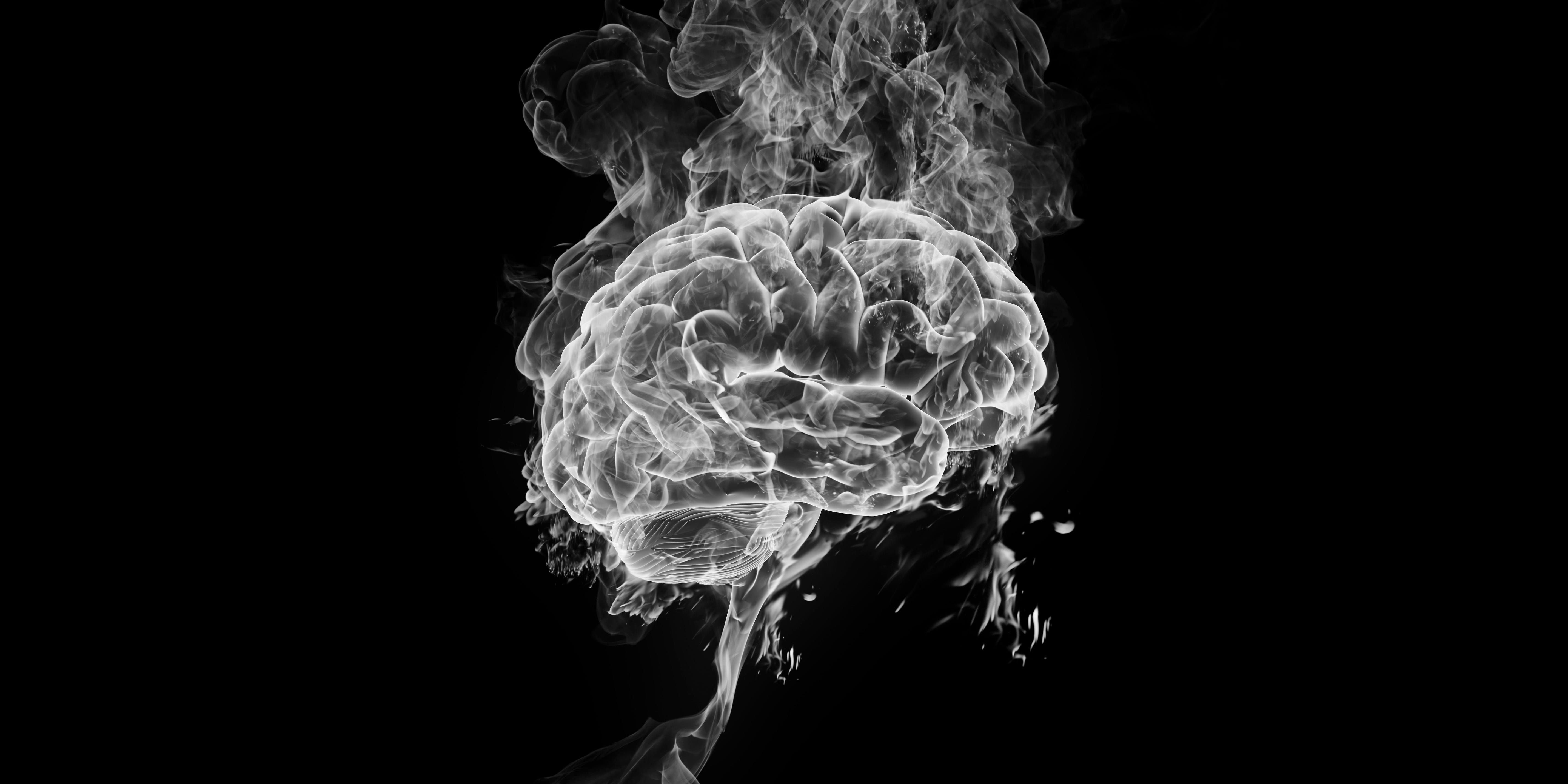 How Weed Affects Six Key Regions of Your Brain