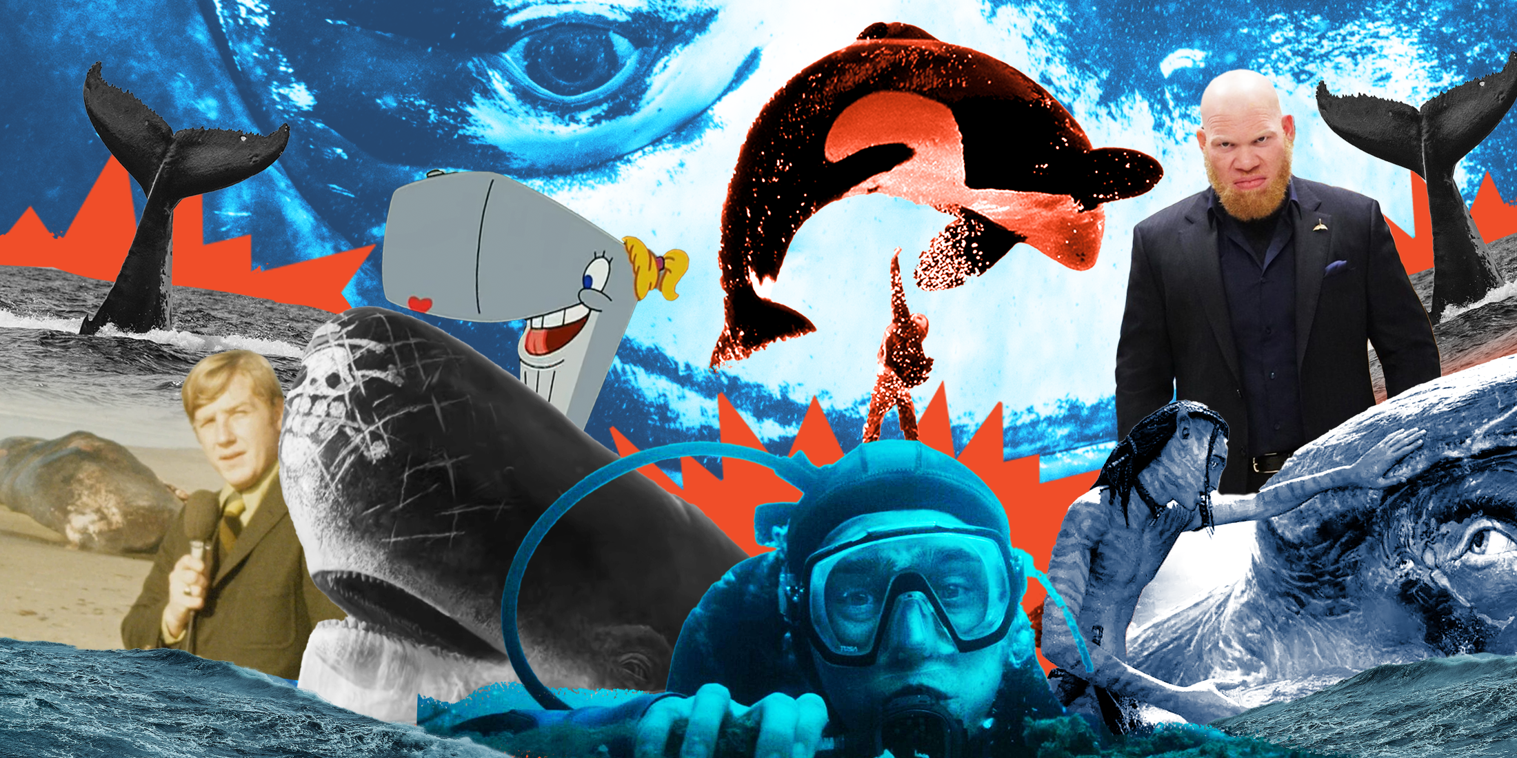 The 15 Best Whales in Pop Culture, Ranked
